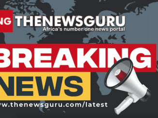 Get breaking news on the go: How to sign up for TNG WhatsApp updates
