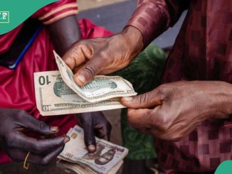 "Naira Depreciates Against the US Dollar in the Official Market, Rises in Black Markets
