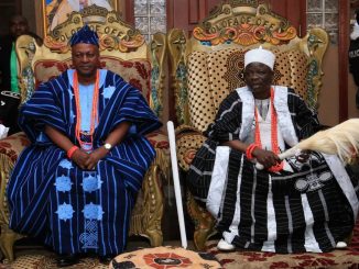 Nigerian Stepmother, Other Untold Stories Of Ghana's President-elect