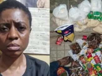 Nigerian woman arrested in one of India's largest drug seizures