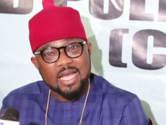 PDP LG Chairmen Pass Confidence Vote On Ugochinyere