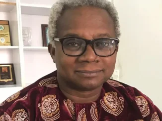 PDP lucky to escape Buhari, Tinubu probe - Osita Okechukwu
