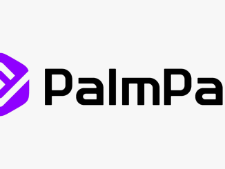 PalmPay, Jumia Integrate Partnership For Nigeria’s Shoppers
