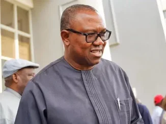 Anti-Corruption Day: Peter Obi Decries Nigeria's High Corruption Rate