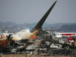 Plane carrying 181 passengers crashes in South Korea