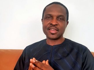 Power Sector Privatization Was Marred By Political Interference - Tonye Cole