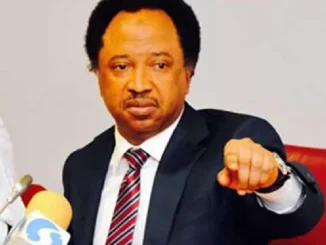 Prioritise Education, Shehu Sani Tells Northern Governors