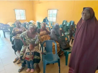 We will enhance our economic status despite economic difficulties - Women groups vow in Niger