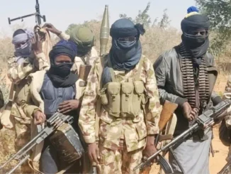 'Yan bindiga ne su ka dasa bam - Mazauna Zamfara