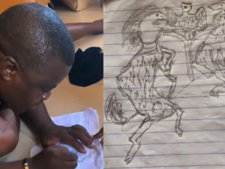 "He actually intended to draw it well o" – Lady Reveals Humorous Nigerian Coat of Arms Drawn by Her Father (WATCH)