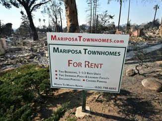 Devastating LA fires expected to push up insurance premiums