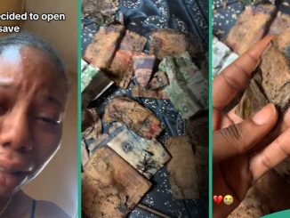 Lady Who Saved Cash in Safe Box Discovers Everything Has Rotten