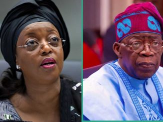 “Why Nigerian Govt Is Yet to Prosecute Diezani,” Top Lawyer Speaks