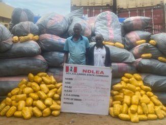 NDLEA Seizes Six Vehicles, 40ft Trailer Load Of Skunk, Intercepts Australia-bound Cocaine [Photos]