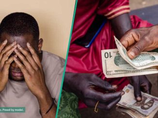 CBN Updates Exchange Rates As Naira Crashes Against US Dollar, British Pound