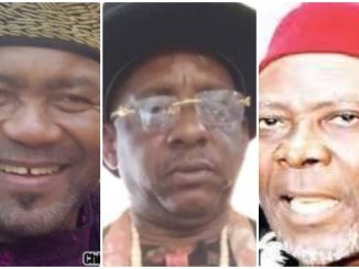 Ohaneze Ndigbo Election Crisis: One Group, 3 Presidents-General