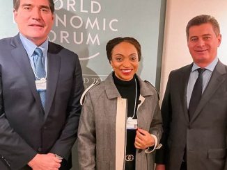 2025 WEF: Nigeria Is A Beautiful Bride, Needs To Build Trust - Oduwole