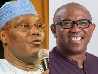 Peter Obi Responds To Atiku’s Call To Fight Tinubu Over ‘Forged’ Certificate