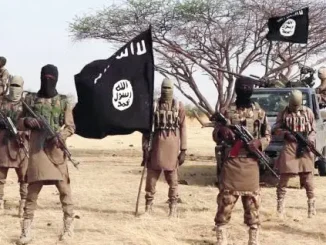 Boko Haram overruns military base in Borno, kills dozens