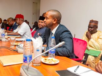Don't Fail Nigerians, Senate Warns NWDC, SEDC Nominees