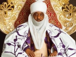 We Can't Just Keep Looking, Nigeria's Problems Are Surmountable - Emir Sanusi