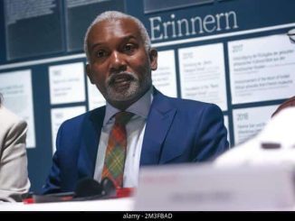 Nigerians Will Enjoy Stable Electricity Supply Next Year — Minister