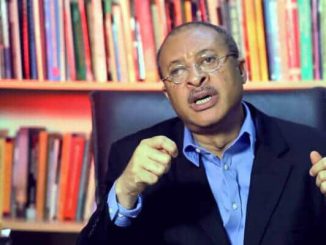 Govt Treated Youths As If They Were Idiots - Pat Utomi