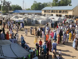 Kano IDP: Red Cross raises alarm over humanitarian crisis