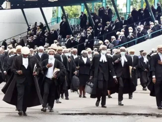 BREAKING: Lawyers Embark On 'Strike' Over Killing Of Colleague In Imo