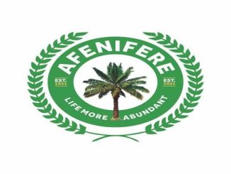 Let States Create Local Governments For Equity - Afenifere