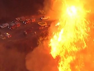 Los Angeles Wildfires Claim 11 As Officials Defend Response