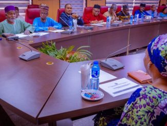 No Ambassadors Not Affecting Nigeria - Tuggar