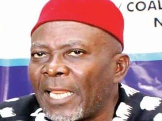 Okwukwu Elected As Ohanaeze Ndigbo President General
