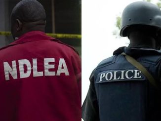 Panic As Police, NDLEA Clash Over Suspected Drug Dealer
