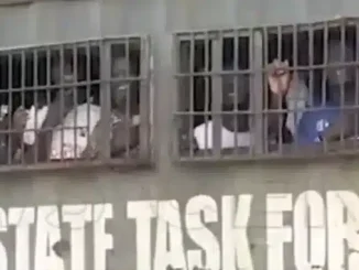 Police Arrest Supporters Of Impeached Lagos Speaker Obasa (Video)