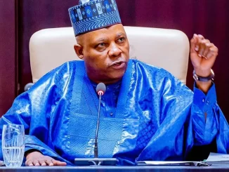 Shettima highlights Nigeria’s investment opportunities upon return from Davos