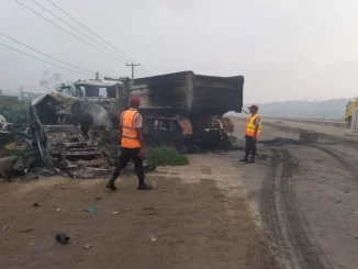 Truck Crushes Monarch To Death In Ogun