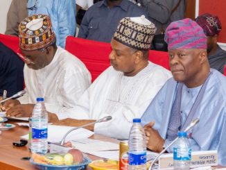 We Are Delivering On Economic Promise - FG