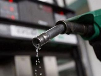 Why You Should Privatize Refineries In Nigeria - PETROAN Tells President Tinubu
