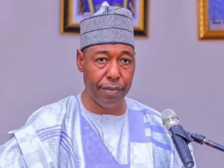 Zulum Commissions Remodelled State Hotel