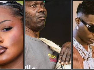 'Wizkid, Burnaboy, Tems, ...' - Meet 7 Nigerian artists who have won Grammy awards