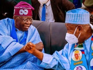 'Be Patient With Tinubu, By Next Year's Christmas The Economy Would Have Stabilized' - Ganduje Begs Nigerians