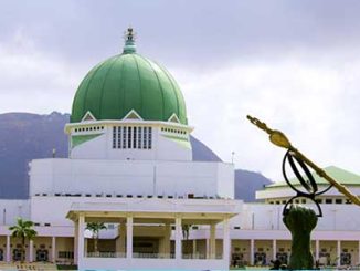 'South East Gave Tinubu Meager Votes, Yet Want To Produce Senate President'