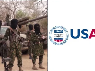 US congressman accuses USAID of funding Boko Haram, other terror groups 