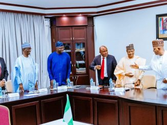 Without Strong Foundation, $1 Trillion Economy By 2030 Will Be Dream - Shettima