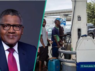 N650 Per Litre: Analysts See NNPC, Dangote Crashing Petrol Again as Crude Oil Price Declines