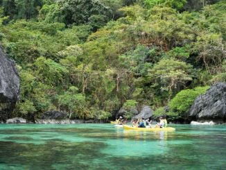 Philippines' Palawan approves 50-year ban on new mining permits