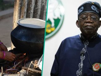 FG to Distribute Clean Cookstoves, N10k Monthly Stipends to 80 Million Nigerians