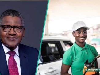 Price War: BOVAS, Eternal Oil, Other Companies Import Fuel to Compete With Dangote Petrol