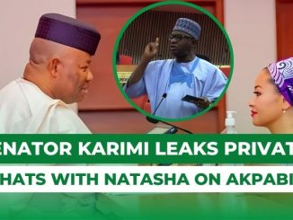 Senator Karimi Exposes Private Chat With Natasha On Akpabio